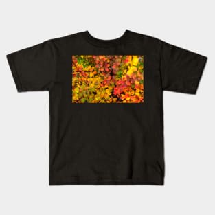 Autumn background of barberry bush Kids T-Shirt